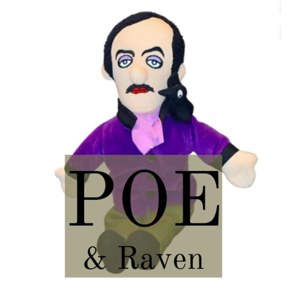 Edgar Allan Poe Plush Raven Gag Gift English Teacher Professor Little Thinker
